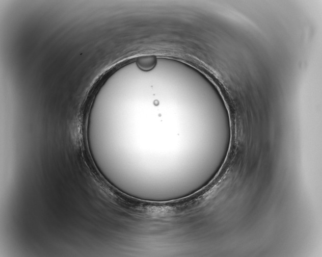 X0000096481498200801241434