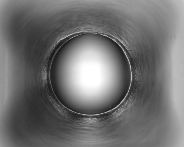 X0000096481499200801241434