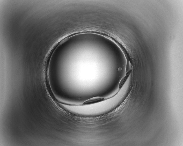 X0000096481500200801241434