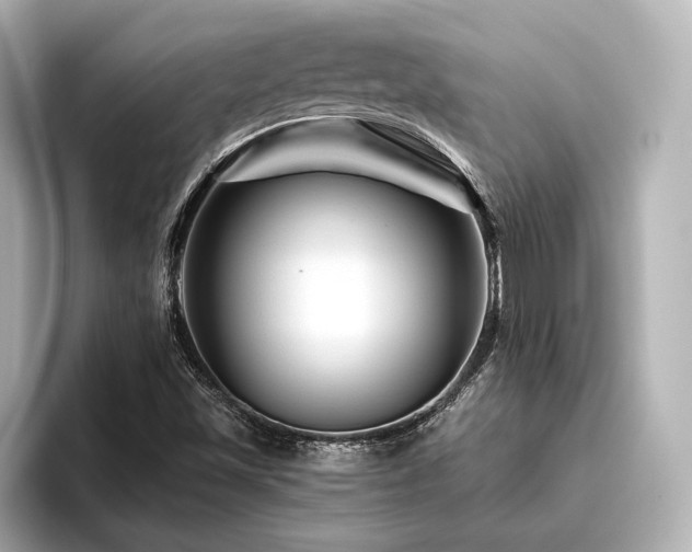 X0000096481501200801241434