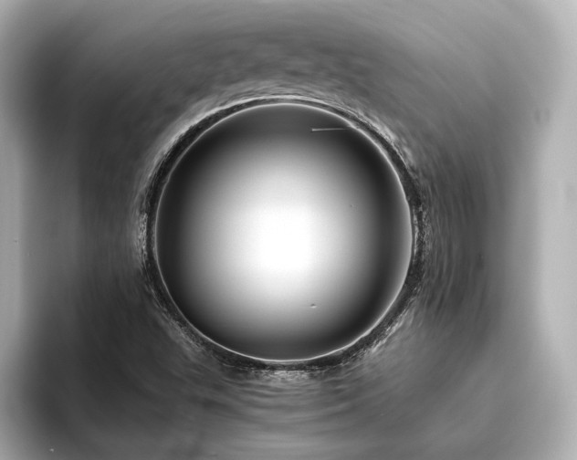 X0000096481503200801241434