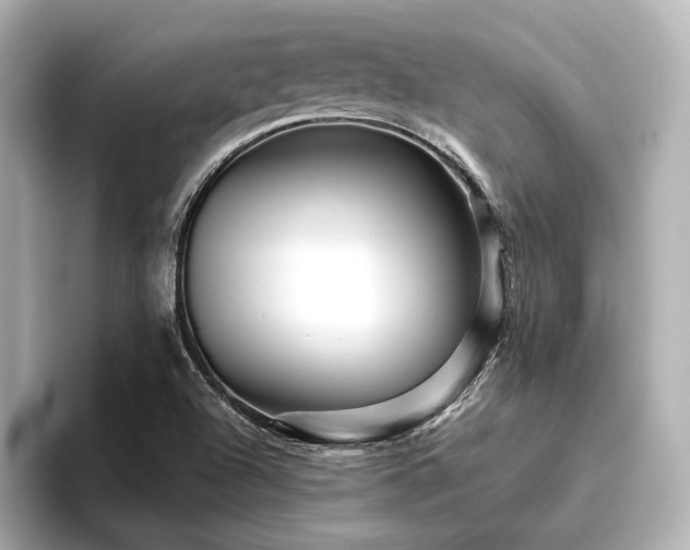 X0000096481504200801241434