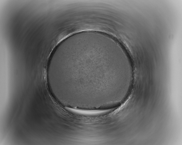 X0000096481505200801241434