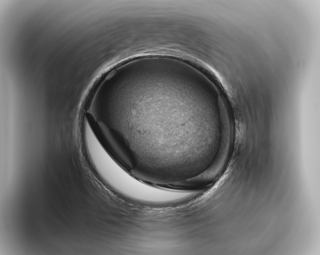 X0000096481506200801241434