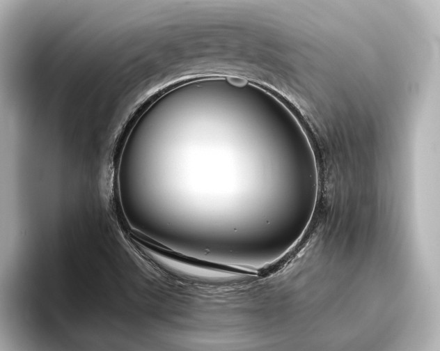 X0000096481507200801241434