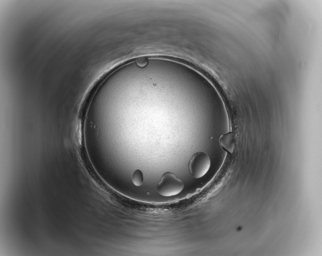 X0000096481509200801241434