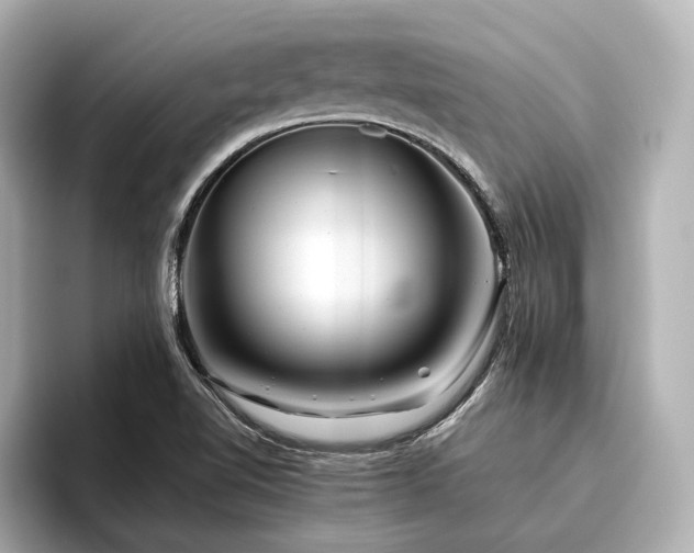 X0000096481510200801241434