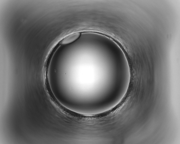 X0000096481511200801241434