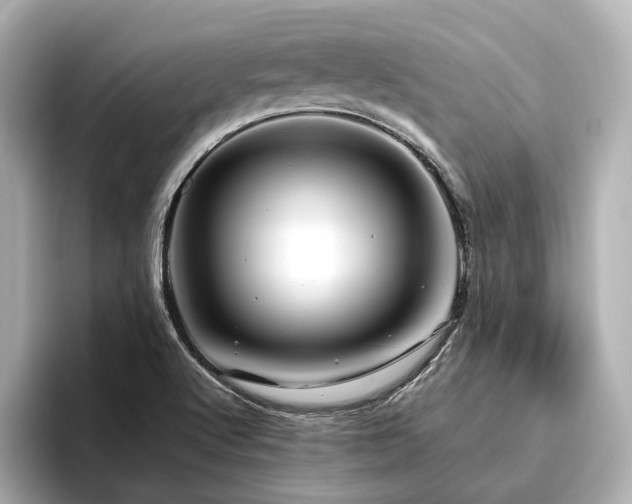 X0000096481512200801241434