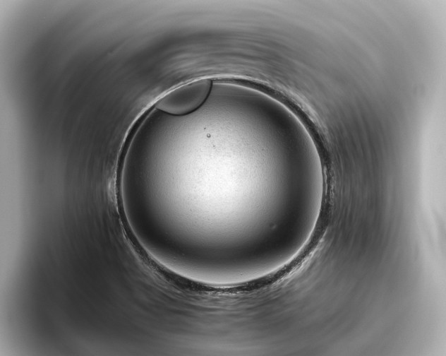 X0000096481513200801241434