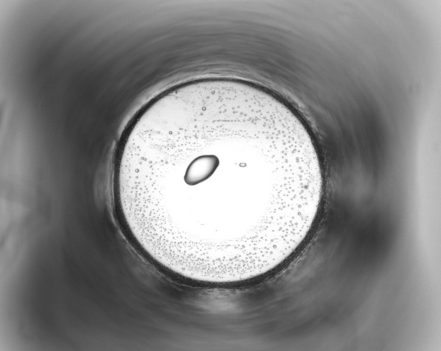 X0000096481514200801241434