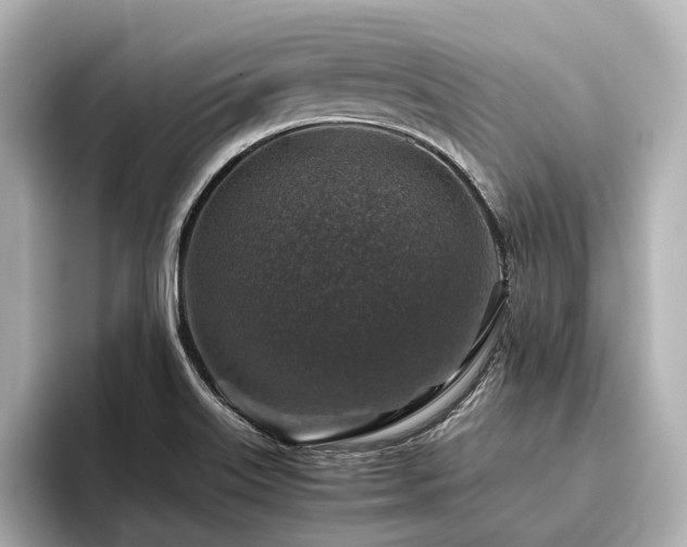 X0000096481515200801241434