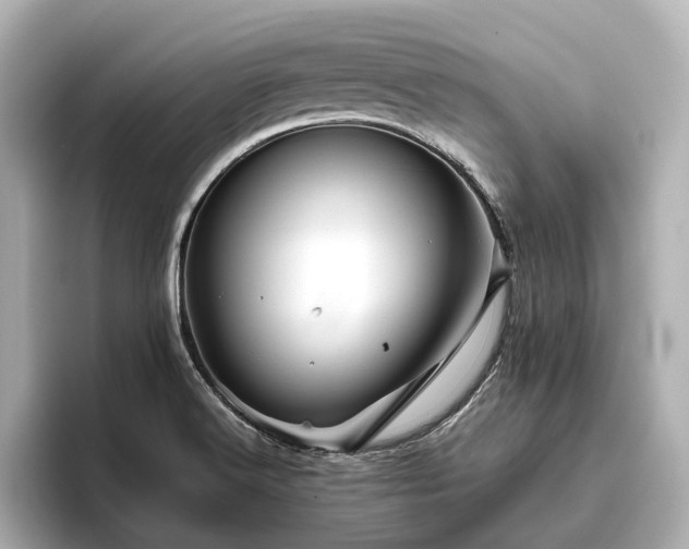 X0000096481516200801241434