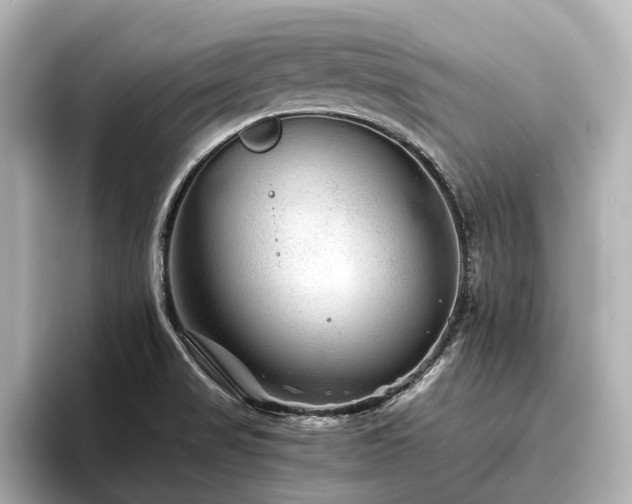 X0000096481517200801241434