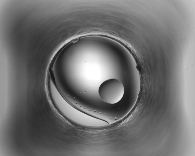 X0000096481518200801241434