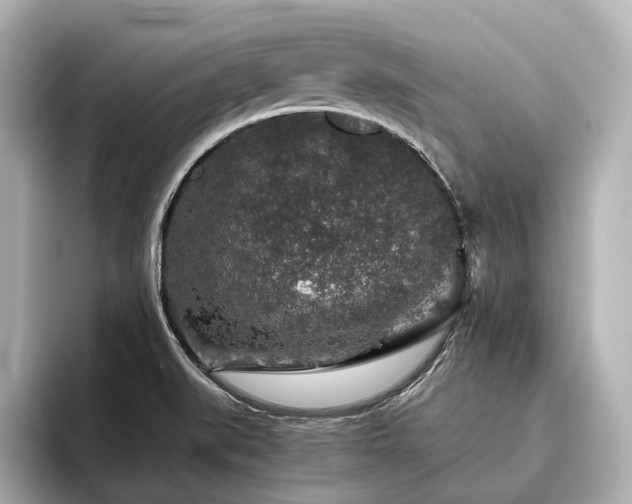 X0000096481519200801241434