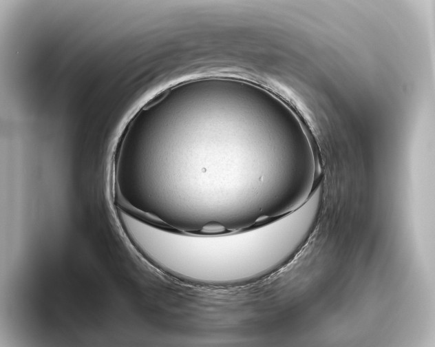 X0000096481520200801241434