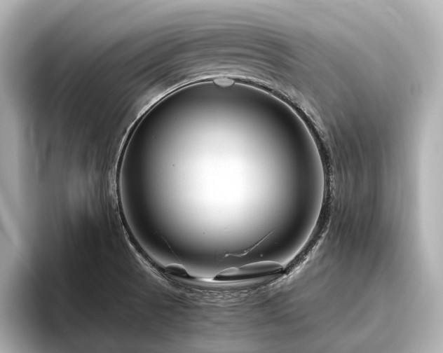 X0000096481521200801241434