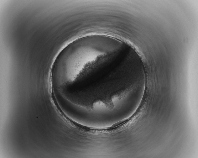 X0000096481522200801241434