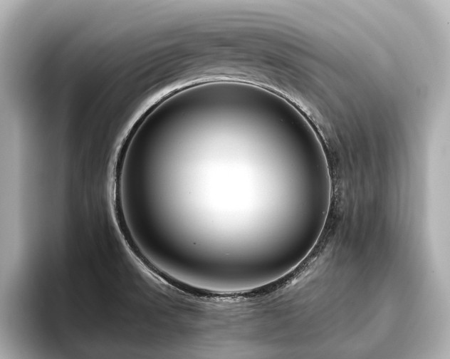 X0000096481523200801241434