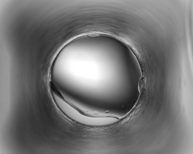 X0000096481524200801241434