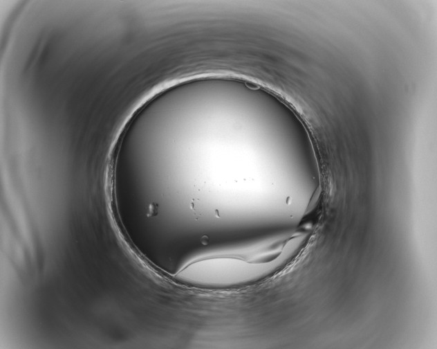 X0000096481526200801241434