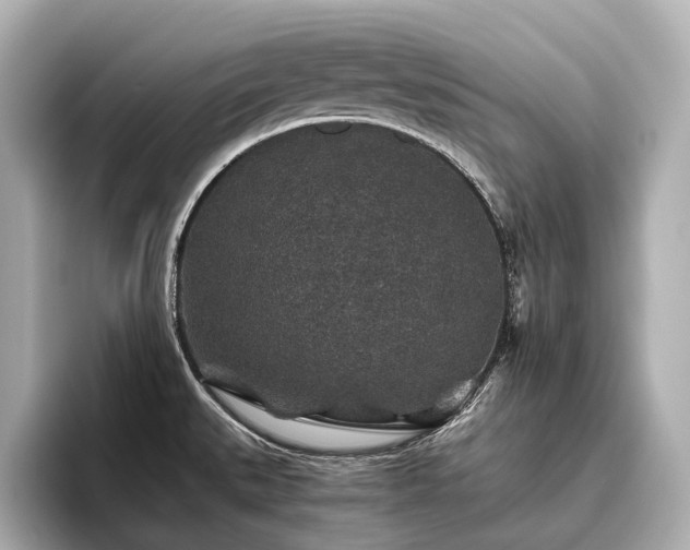 X0000096481527200801241434