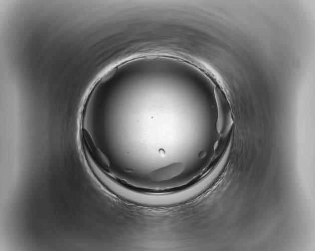 X0000096481528200801241434