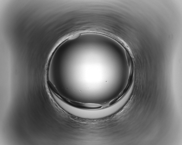 X0000096481530200801241434