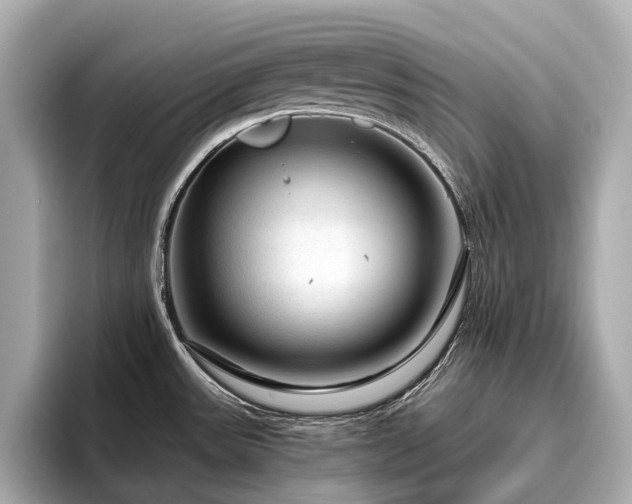 X0000096481531200801241434