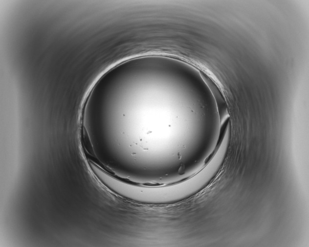 X0000096481532200801241434