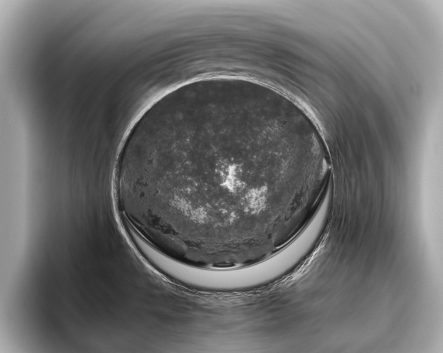 X0000096481533200801241434