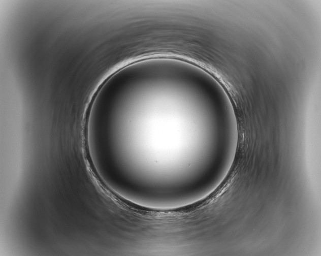 X0000096481534200801241434