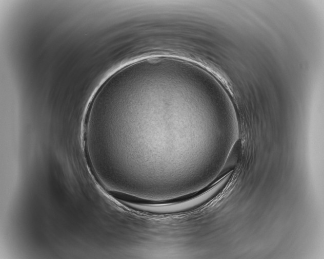 X0000096481535200801241434