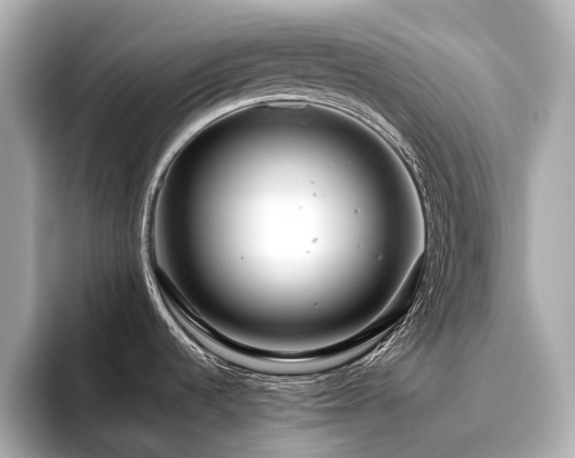 X0000096481536200801241434