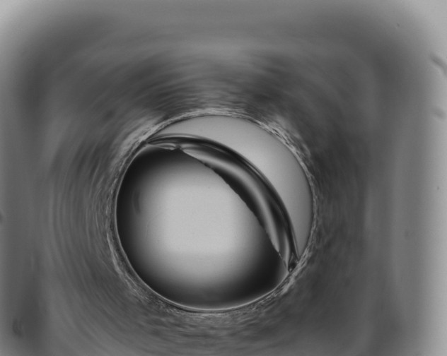 X0000096480001200801311606