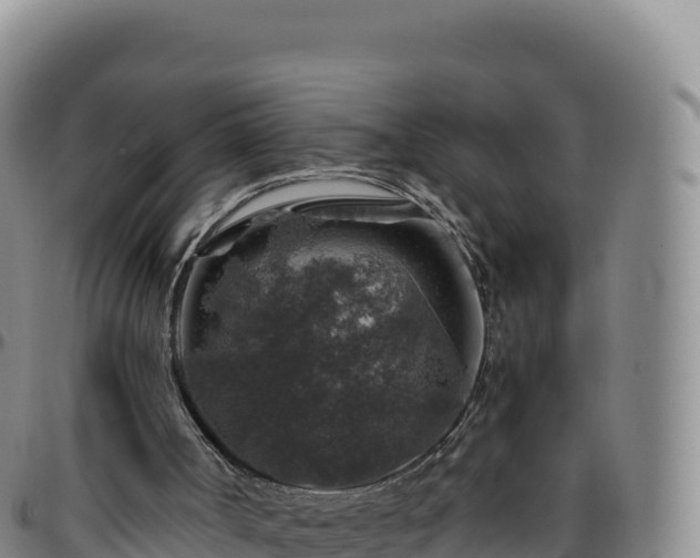 X0000096480002200801311606