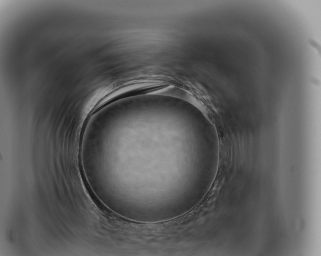 X0000096480003200801311606