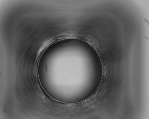 X0000096480004200801311606