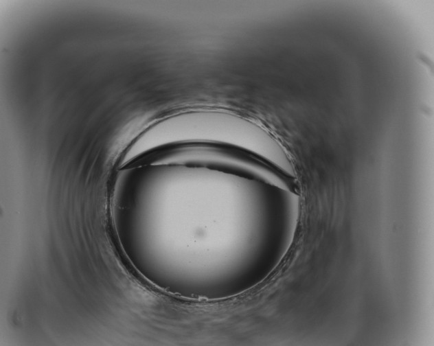 X0000096480005200801311606