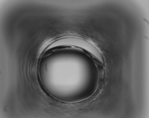 X0000096480007200801311606