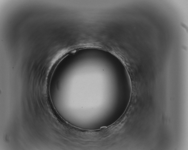 X0000096480008200801311606