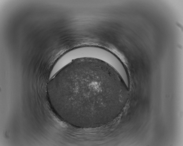 X0000096480009200801311606