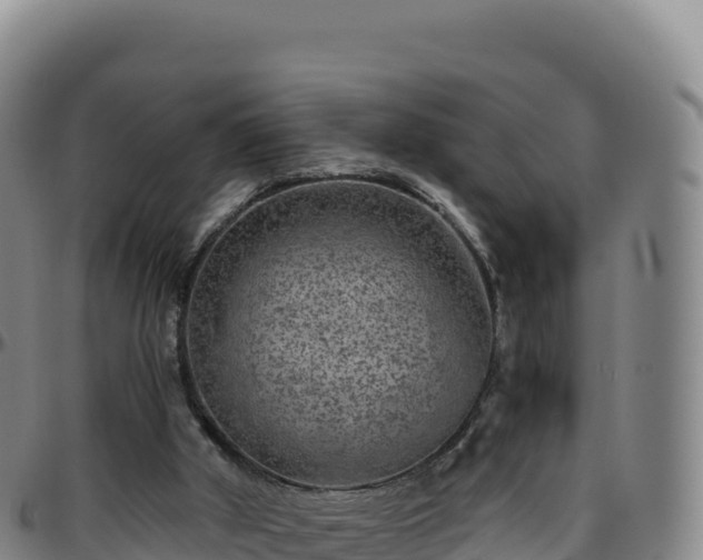 X0000096480010200801311606