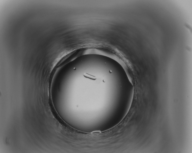 X0000096480011200801311606