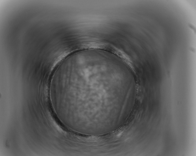 X0000096480012200801311606