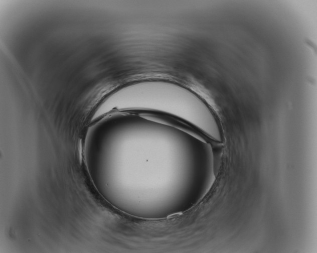 X0000096480013200801311606