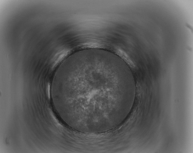 X0000096480014200801311606