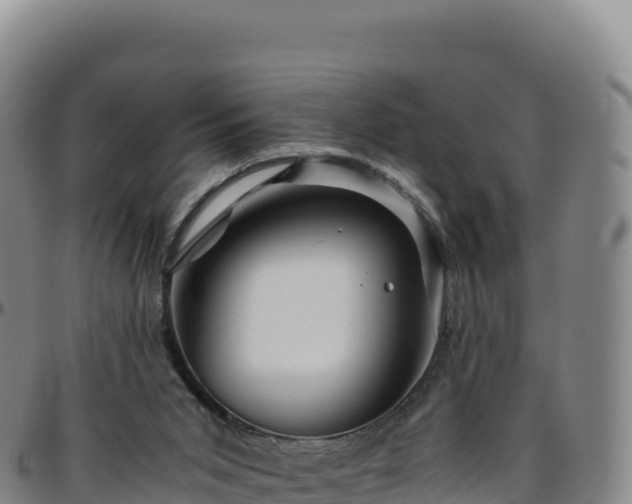 X0000096480015200801311606