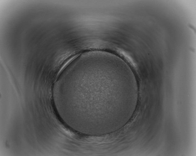 X0000096480017200801311606